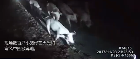�������ų��������ȶ��� �����Ϲ������Լ���������