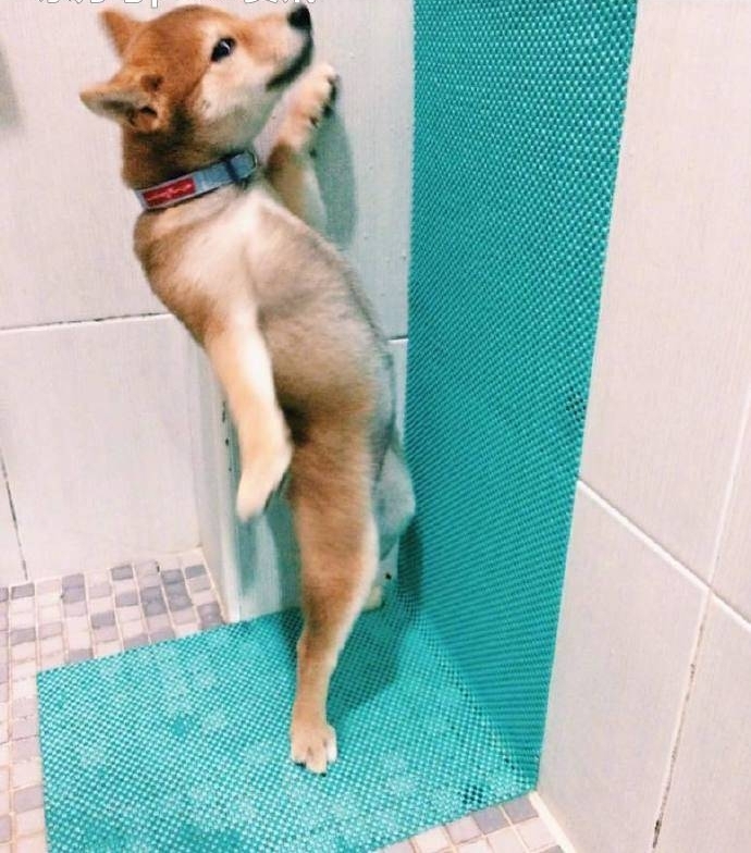 ���棬�������û�ˣ���̫̫������60��ֽ�������