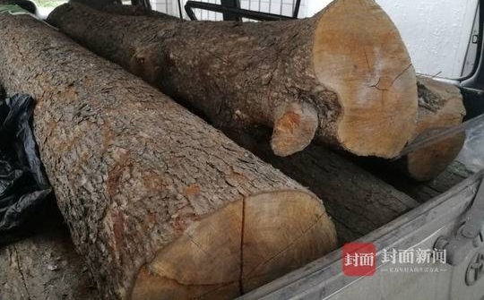 �Ĵ��ľ������һ�����ƣ��Ż�4�ꡰıɱ�����99��