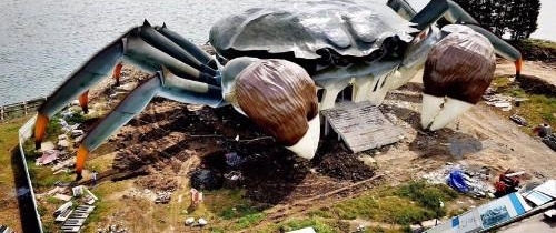 �й�ʮ�����⽨��, ���������? ��һ��ʲô��