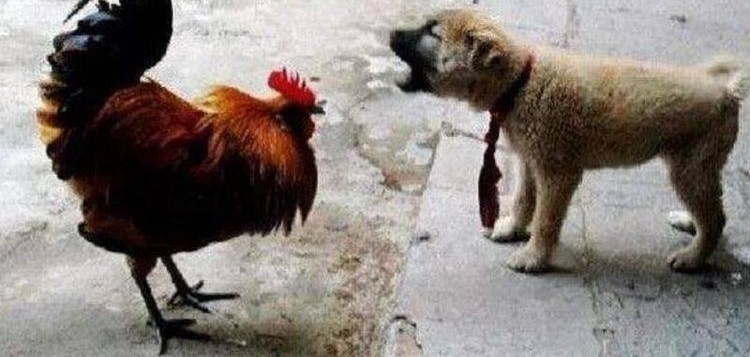 �����ͼ�һ�鳤�����˵�������Ҫ�Ѽ�ɱ�ˣ��������������˸ж�