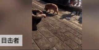 ����һ��ë��������ˮ��Ů�� Ů���þ���������