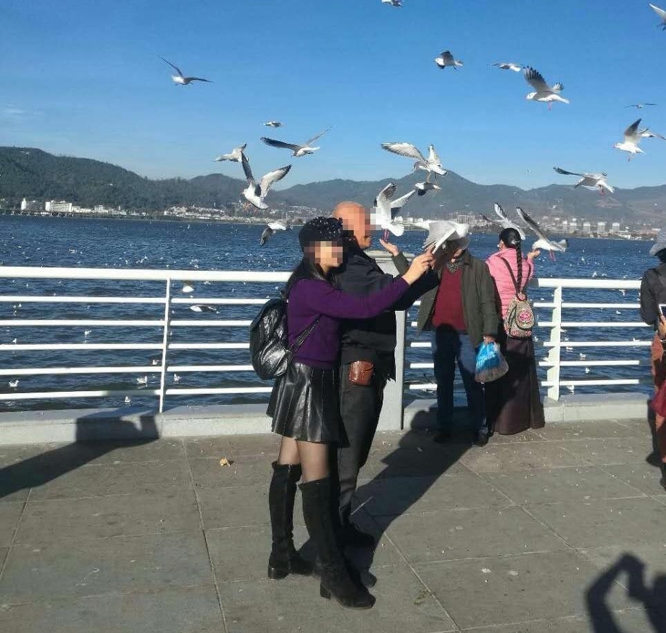 ��������Υ��������һ�ο�ץ����Ÿ��Ӱ����625Ԫ