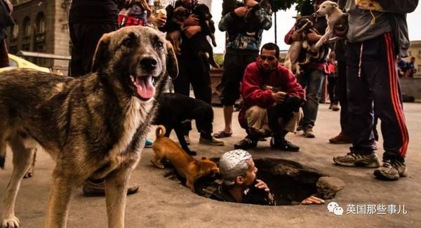 �������еĵ��£�һ��������С����ˮ�����������ס��������������������