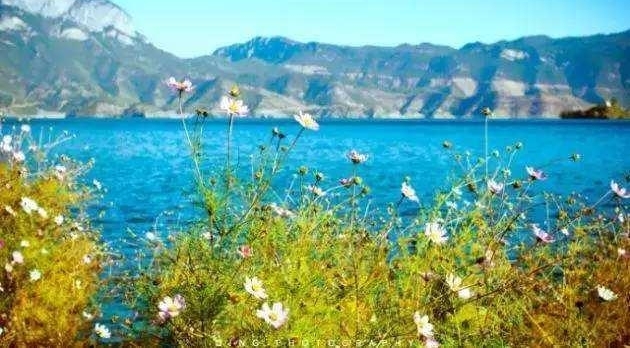 ������ȥ���ľ��� ����Ŀ�ĵء����ʡ�֮·�ڼ���