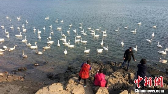 �������֮�硱ɽ���ٳ�ӭ����켾��