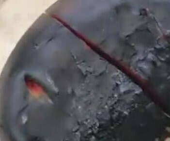 男子将西瓜放到火上烤,看起来非常奇葩,切开后的样子不服都不行