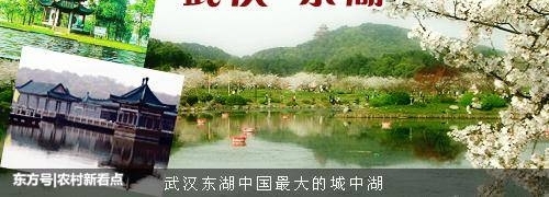 �Դ��人��������Ľ�Ѿã������人����Щ����ĵط��أ�
