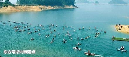 �Դ��人��������Ľ�Ѿã������人����Щ����ĵط��أ�
