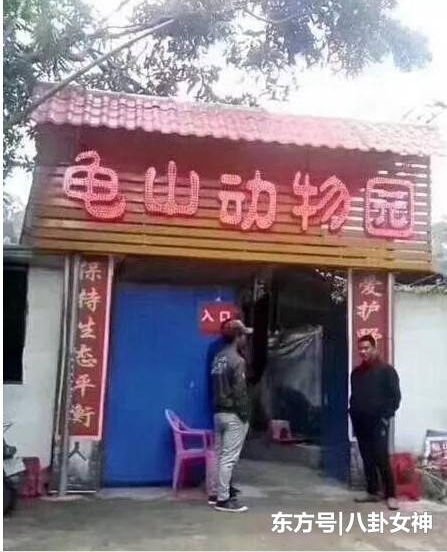 广西奇葩动物园火了,以为里面有企鹅看,当网友走近一看瞬间笑喷