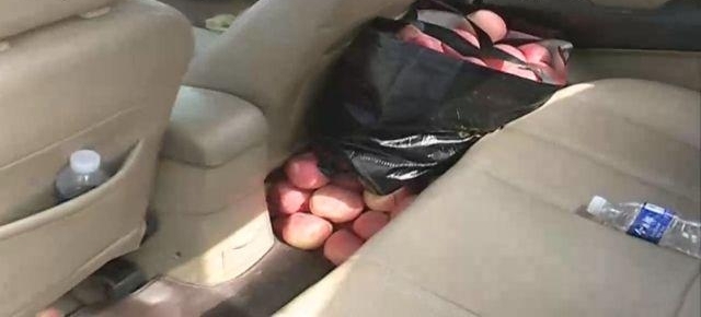 ������Ӧ������ͣ�� �ô�����Сʱ��͵ժ480��ƻ��