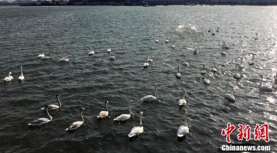 �������֮�硱ɽ���ٳ�ӭ����켾��