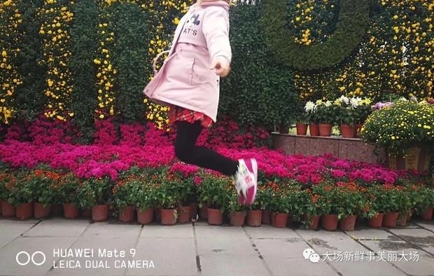 �ϴ�ջ�չԤ�����ܿ�ʼ������Ȧ�����ǵľ���һ��