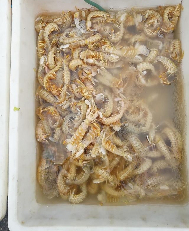 ũ����ϼ�©��������з13��Ǯһ��