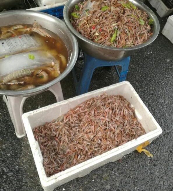 吃货注意!大连冬季时令小海鲜嘎巴虾陆续上市