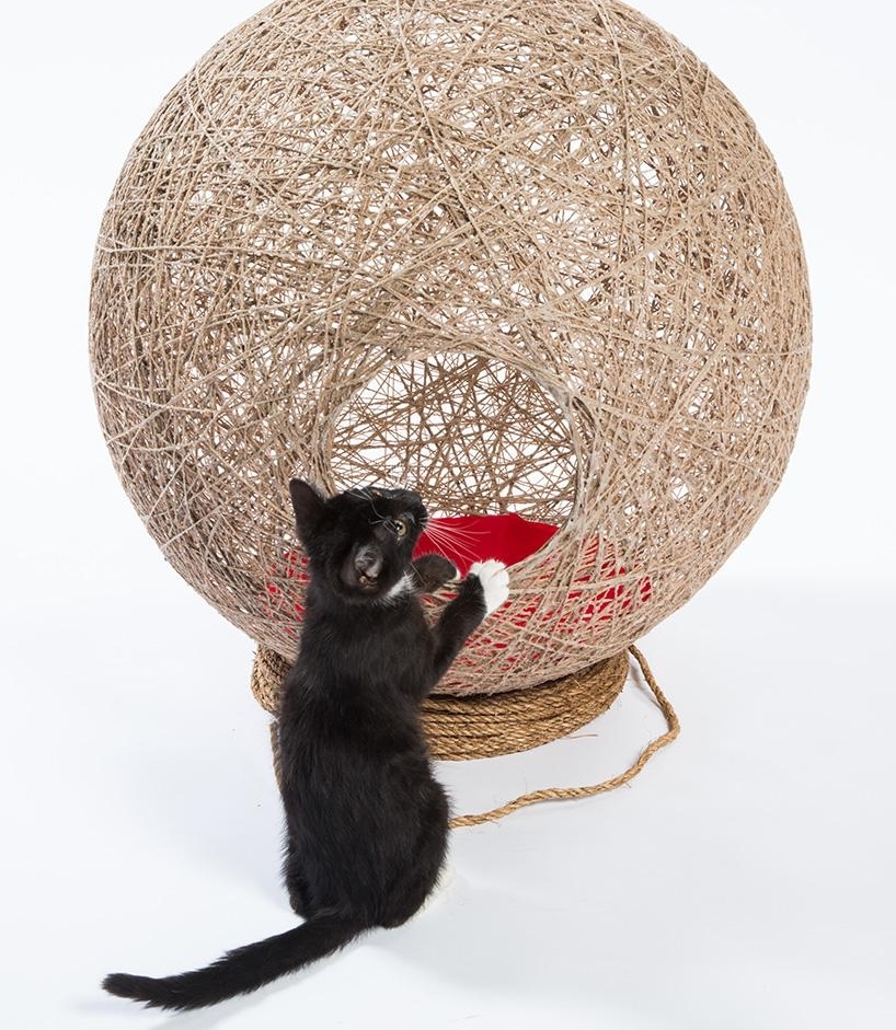 洛杉矶顶尖建筑师为流浪猫打造时髦户外猫屋