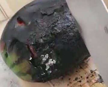 男子将西瓜放到火上烤,看起来非常奇葩,切开后的样子不服都不行