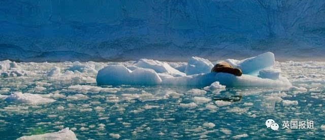 等了16年,BBC传奇回归!你永远不知道瑰丽深海藏着什么...