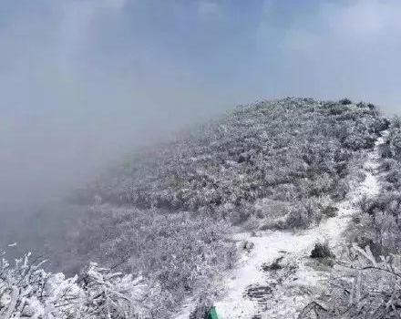 �£�ѩ���ˣ���������׽�ѩ��������ȫ���磡
