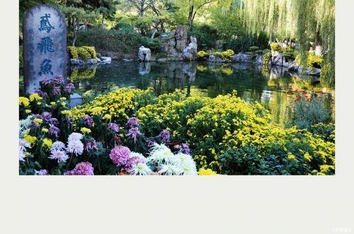 �鱨վح��������� ������ͻȪ��ɫ����ʤ��