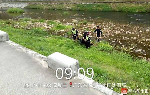 深圳市民晨练发现半裸男尸!疑似高坠后溺亡