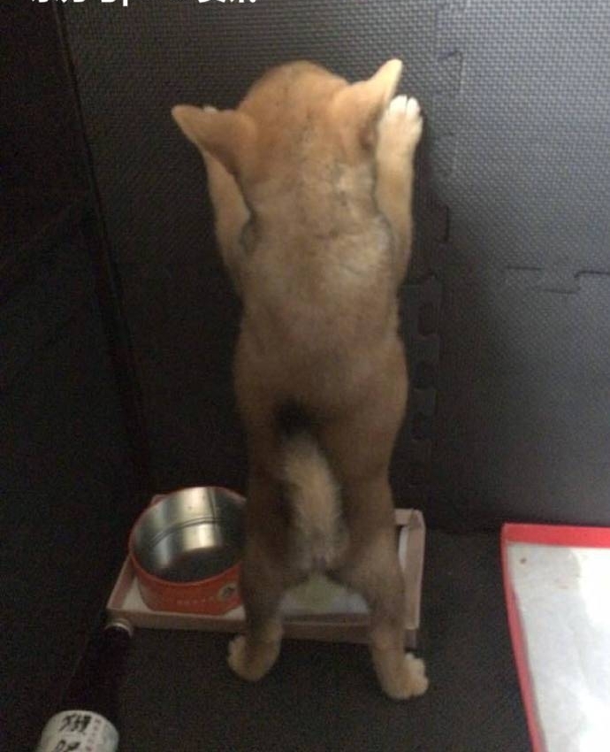 ���棬�������û�ˣ���̫̫������60��ֽ�������