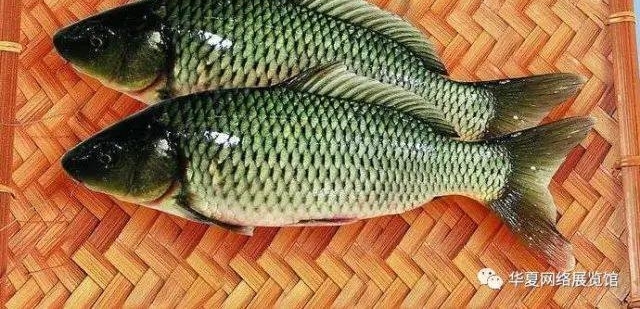 全国特产博览——呼和浩特
