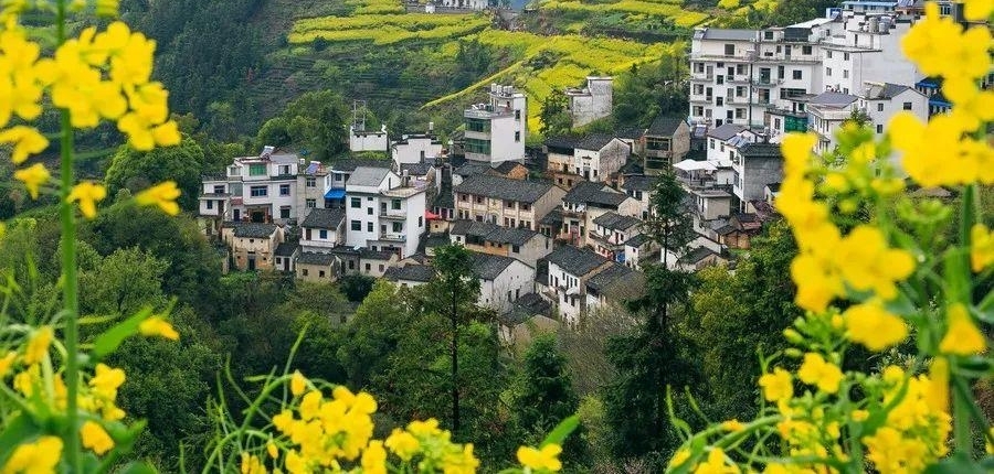 ý��:��һ��ʡ����"�⹺ͬȨ" �ⷿ����У�����ʵ