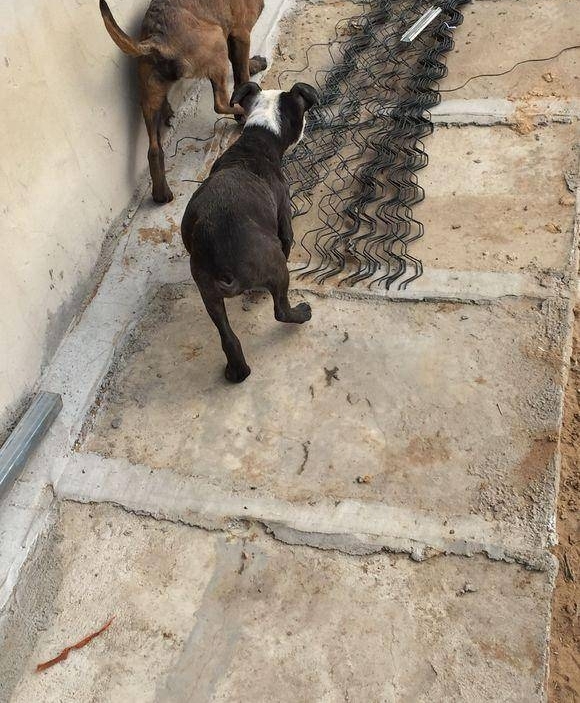 ����׬���ˣ��������ٿ�Ǯ������ϡ�е���èȮ���ھ�ȴ����������
