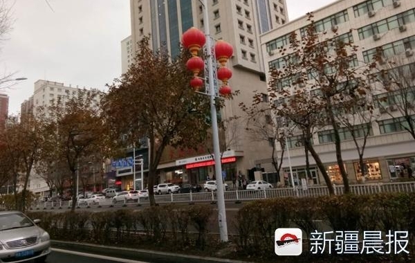 ��³ľ����������·��������Ŀ�깤��������������������������