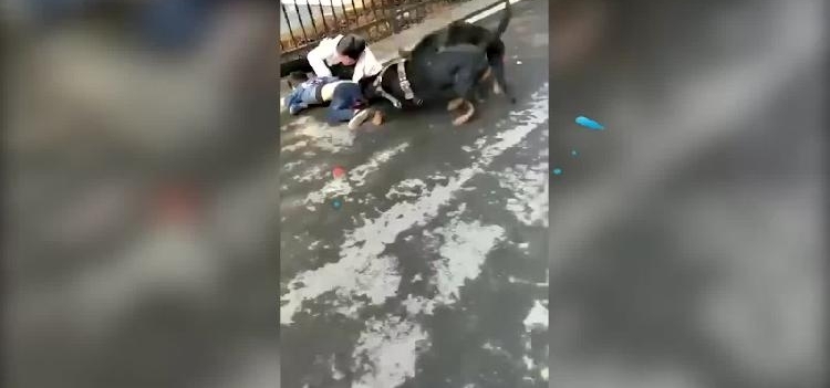 ��������ͨ������˺ҧС�����ˣ�С������ �����ҹ�����