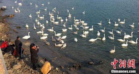 �������֮�硱ɽ���ٳ�ӭ����켾��