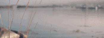 ʮ�£��ټ�������ټ���
