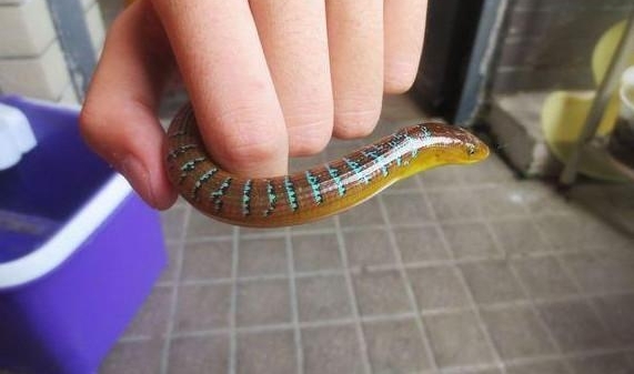 ������ũ����ץ��������үү�������ų�һ���亹���Ͻ�������