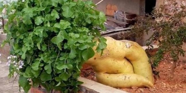 ũ�������﷢�֡�˯���ˡ������⣬���˱���������