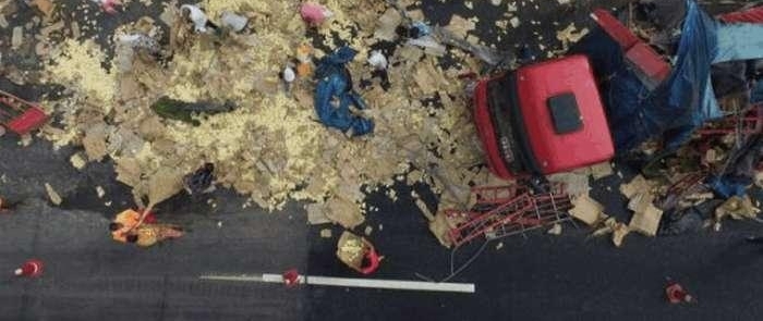 村民被一声巨响吓醒,出门看到这一幕,路上全是散落的小鸡仔