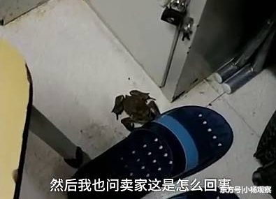 ��ѧ�����ݣ�����ֻ��󡣬���ң������ܾ��ˡ�