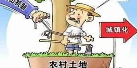 在农村,“一户多宅”不被允许,建议主动退出,可领上万元补贴