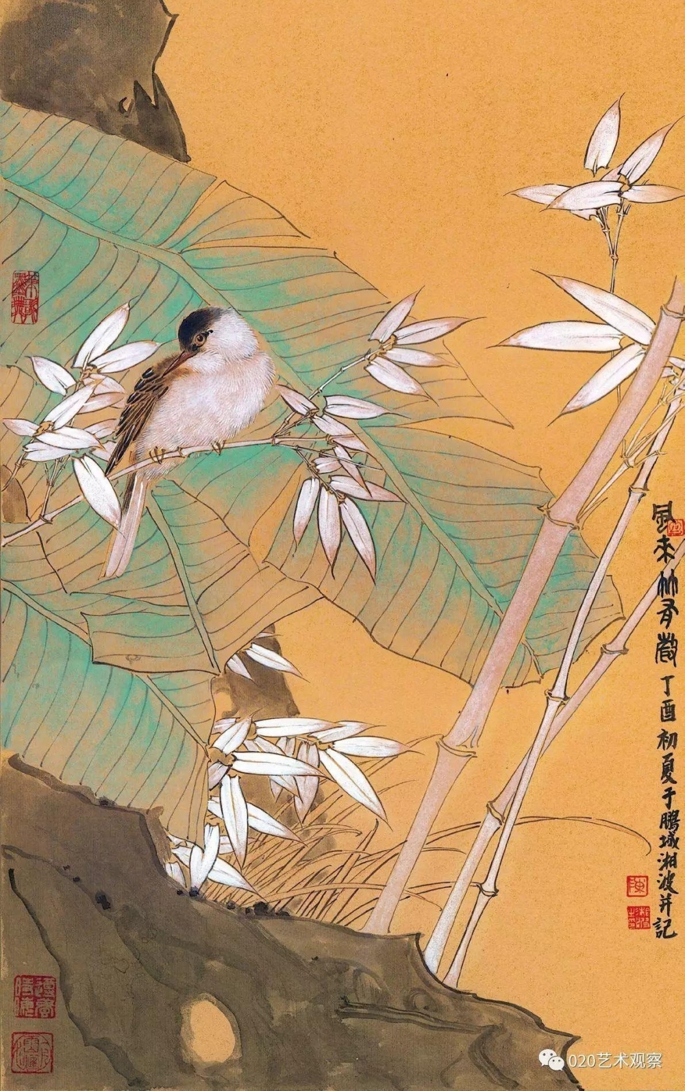 ���������沨֮��