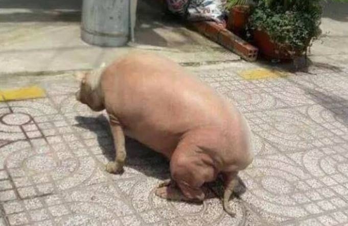 ��ͷ����Ȼ�ܵ�·�����ˣ�����·�˹�����Ц��