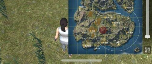 �Լ����δ������Ұ�ж������Ը�ǿ���ָ߻�ԭ��