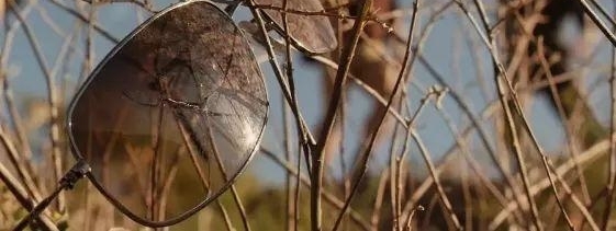 Ϊ��Ѱ�Ҳ����������ˣ�һֻ�����۵Ĺ���������ʼ����֮�á���