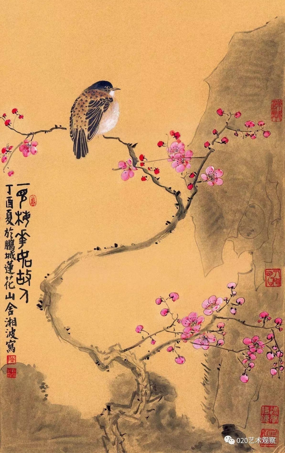 ���������沨֮��