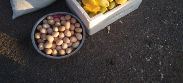 �������ϵ�һ������С���У����������ֵİ�