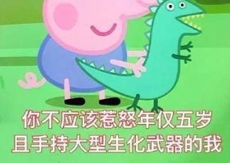 ����ģ���������Ƭ��������������˵���
