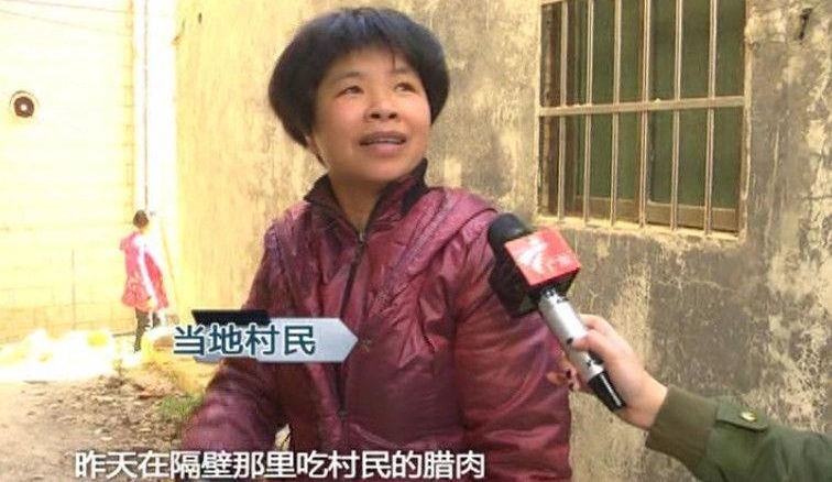 猴子闯入广州居民家 偷吃东西后晒太阳