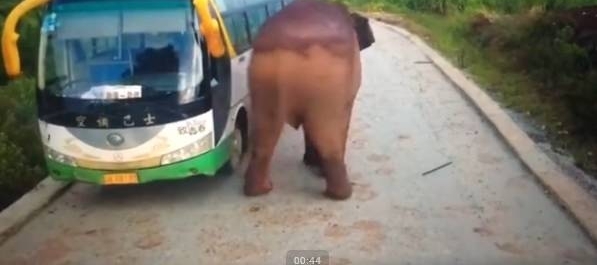 ����Ұ�󡰴�١��ͳ������粣������һ��������