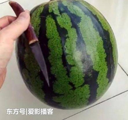 男子像女友求婚,抱了个西瓜,女友却当场哭了,竟立马答应嫁给他