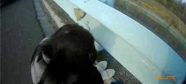 ���³���Ů�ѱ��Ӹ��� ����Ȱ˵:��ȥ������С����