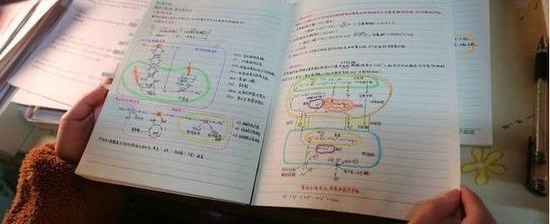��Ůѧ�ԡ��汾�ʼǡ��ߺ� ���ѣ���������Ʒ